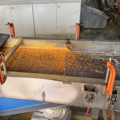 Mesin Granulasi Busa XPE Untuk Pelet Tautan Silang XLPE EVA Polyethylene
